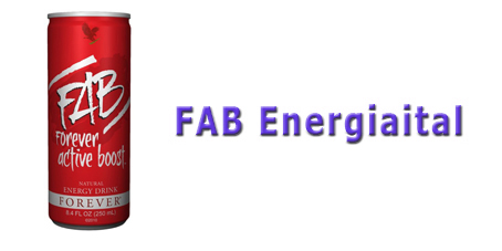 006 FAB Energiaital