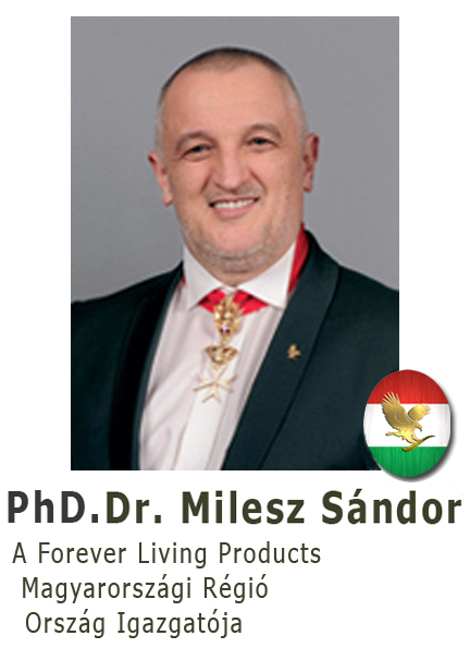 milesz-sandor-tablo